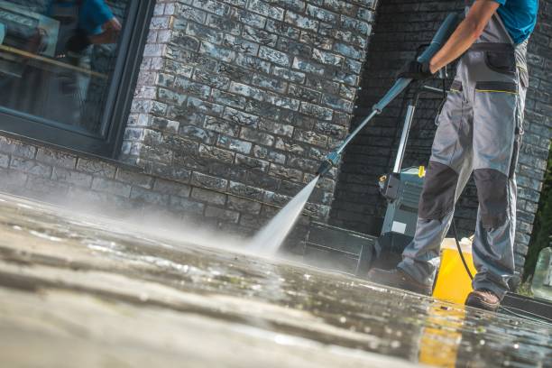 Best Gutter Cleaning and Brightening in Pulaski, WI