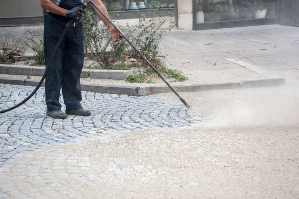 Best Soft Washing for Delicate Surfaces in Pulaski, WI