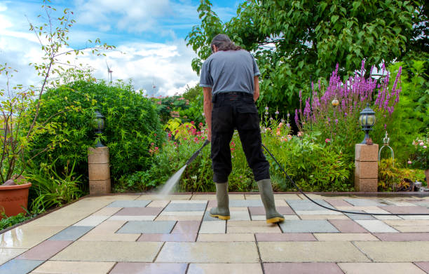 Best Roof Cleaning and Mildew Removal in Pulaski, WI
